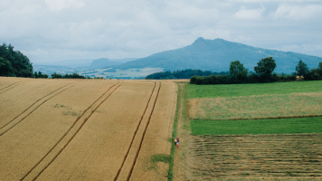 DJI 20240714193355 0007 D.jpg