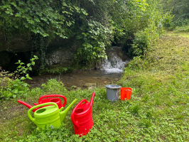 IMG 20240713 WA0023.jpg