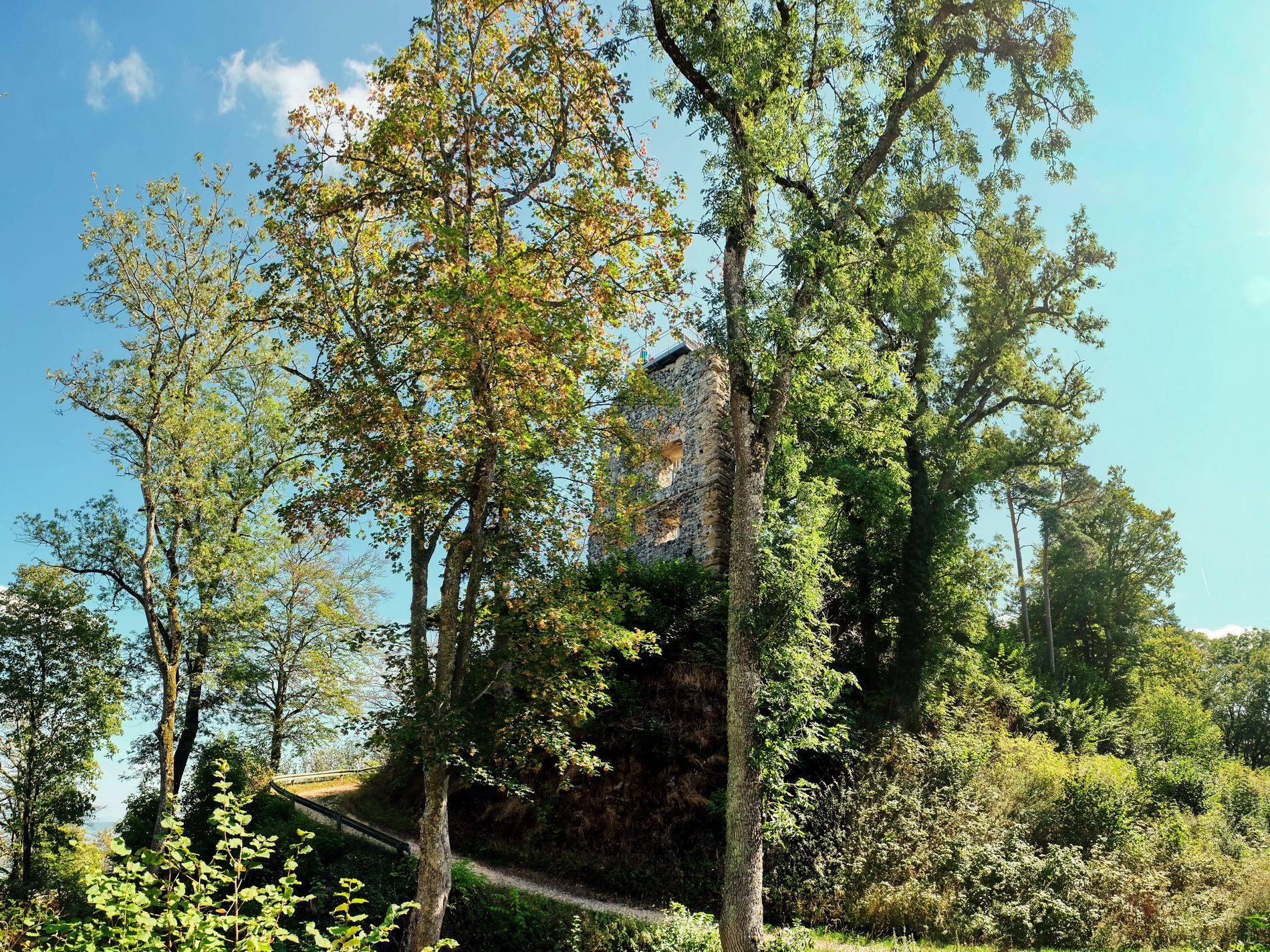 Hohenhewen