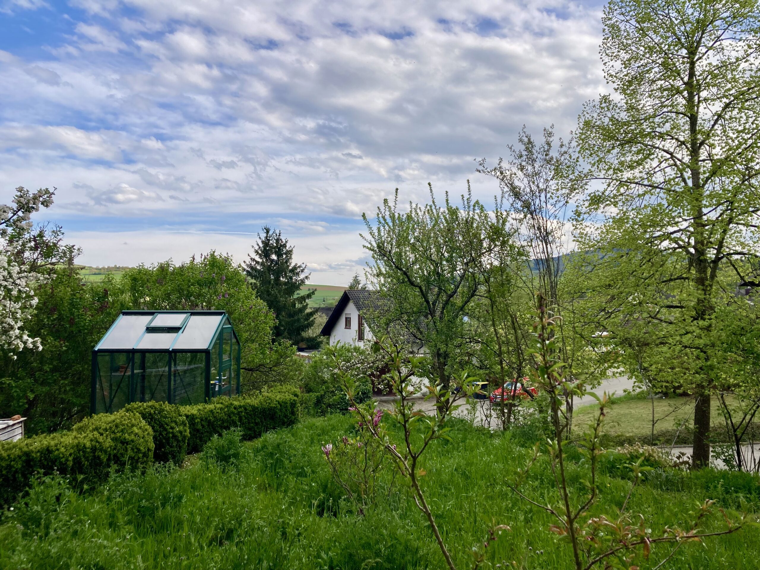 Blick aus dem Schlafzimmer 1