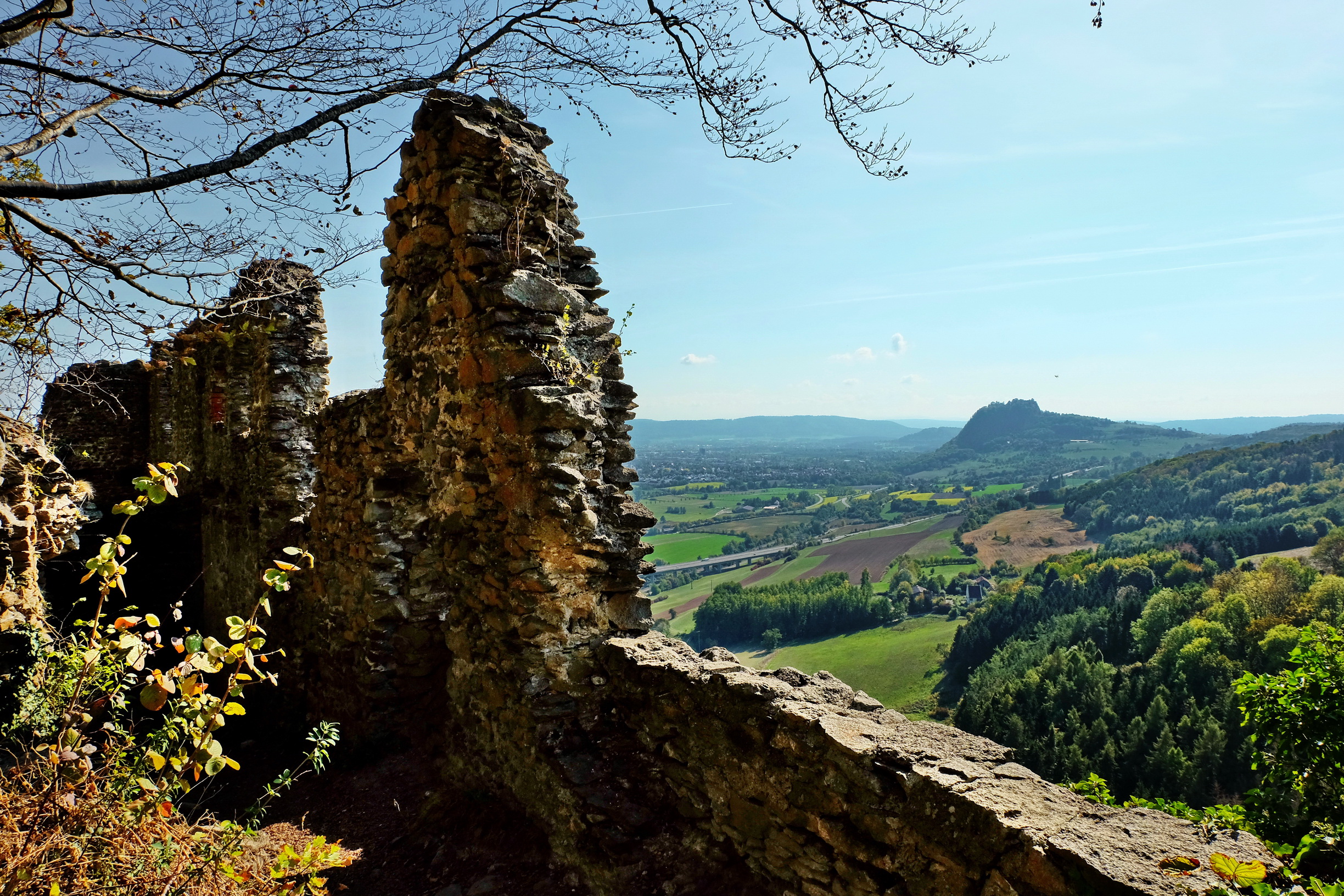 Krähen m. Blick Hohentwiel