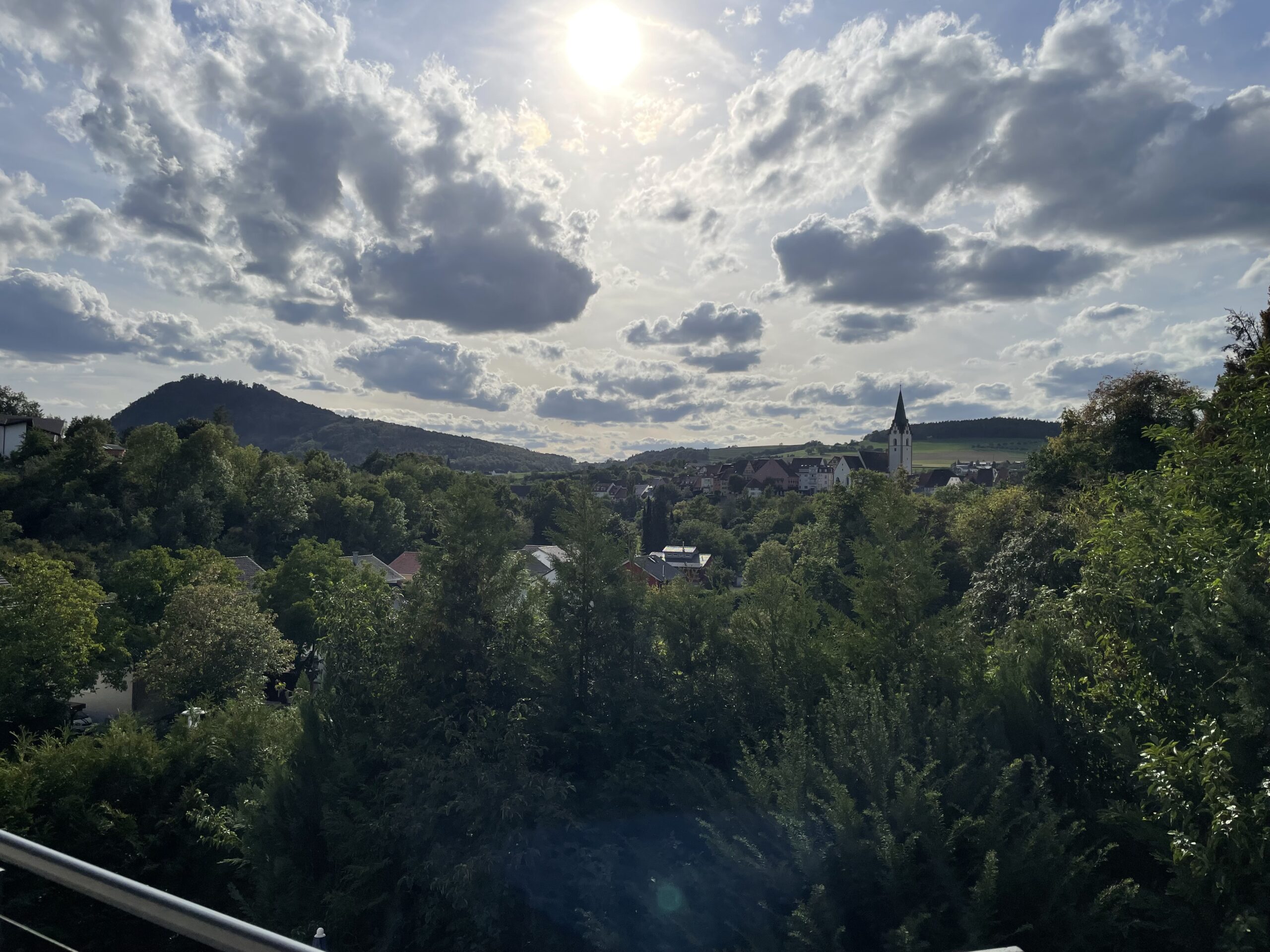 03_IMG_7636