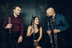StubenKlassik: Weihnachtszauber mit dem Trio Schmuck am 12. Dezember 2026